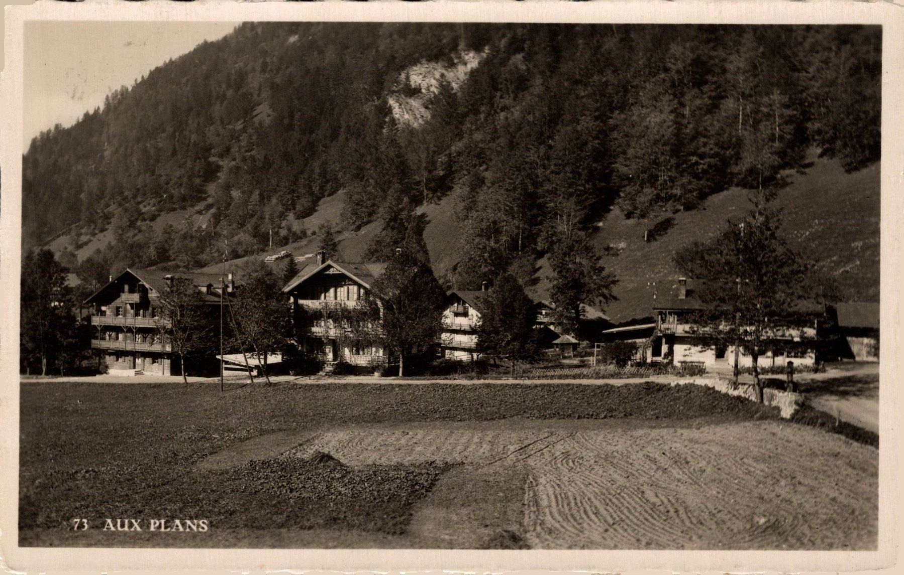 Cartoline postali: Aux Plans (Les Plan-sur-Bex) – Usato da Bronschhofen venduto da Astore