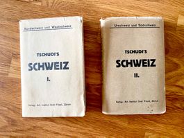 Iwan von Tschudi - Reisetagebuch Schweiz I + II