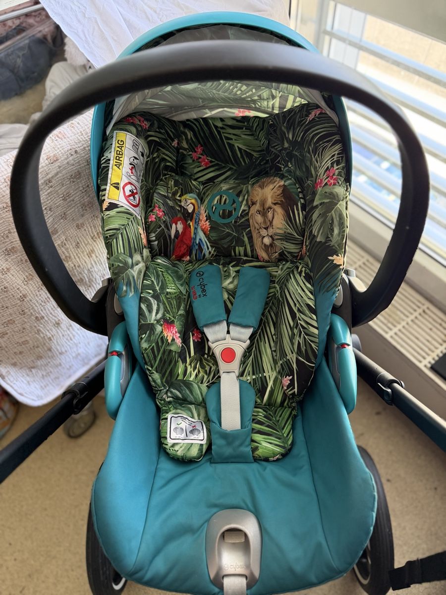 Cybex Kinderwagen: Cybex Priam  – Gebraucht aus Unterentfelden von van_m8g7 7