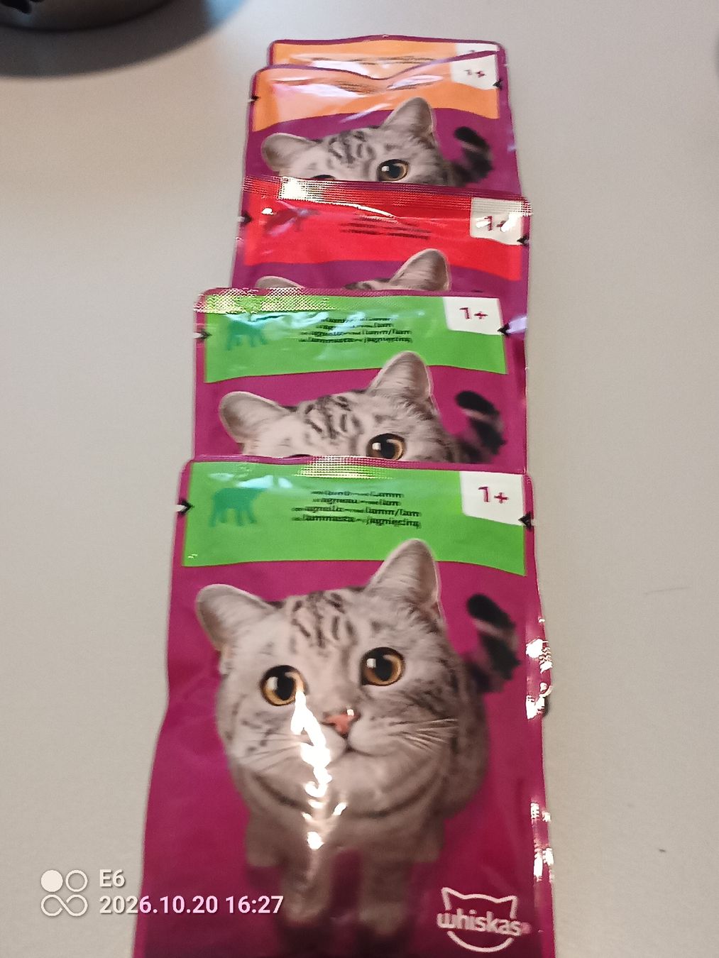 Schalen: 4 Katzenschälchen mi 16 Beutelchen Nassfutter – Gebraucht aus Zürich von Mitzi6 4
