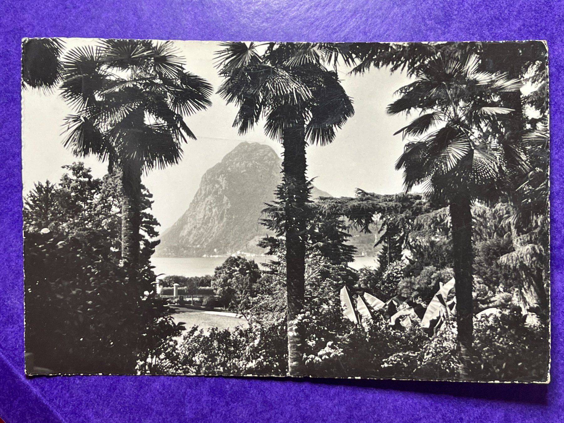 Cartoline postali: Lugano Monte S. Salvatore – Usato da Steg VS venduto da danwer74
