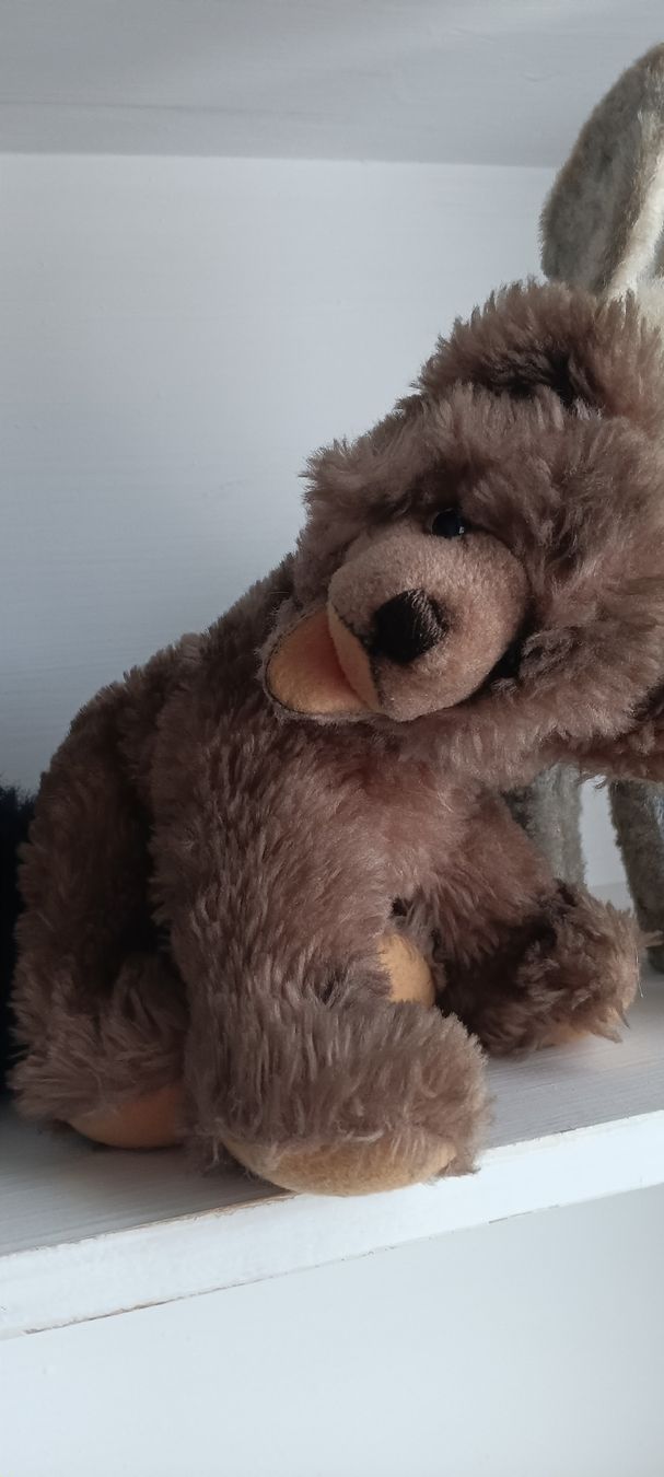 Steiff Giocattoli: STEIFF und ANDERES alt!! – Usato da Maienfeld venduto da Andyr44 2