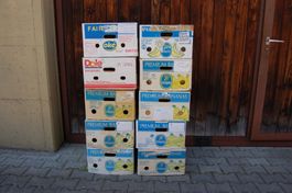10 Bananenschachteln, Umzugskarton