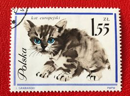 Briefmarken aus Polen  gestempelt.  Siehe Original Fotos. ﻿ 