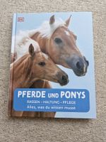 Pferde und Ponys
