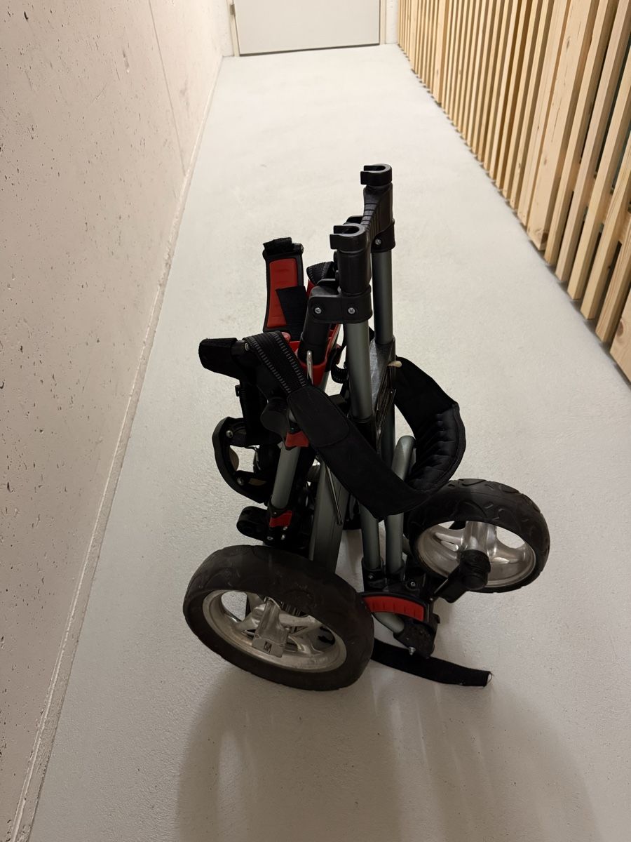 Mazze & Set: Golfwagen – Usato da Muri AG venduto da carambas1971 1