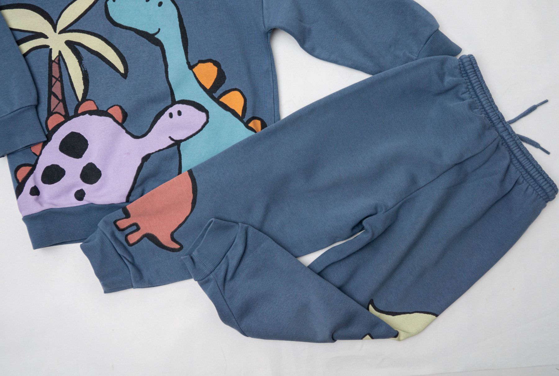 Next Lotti & Set di vestiti: NEXT Pullover & Hose Set mit Dinosaurier  Gr.104/110 – Usato da Zürich venduto da sambaum 2