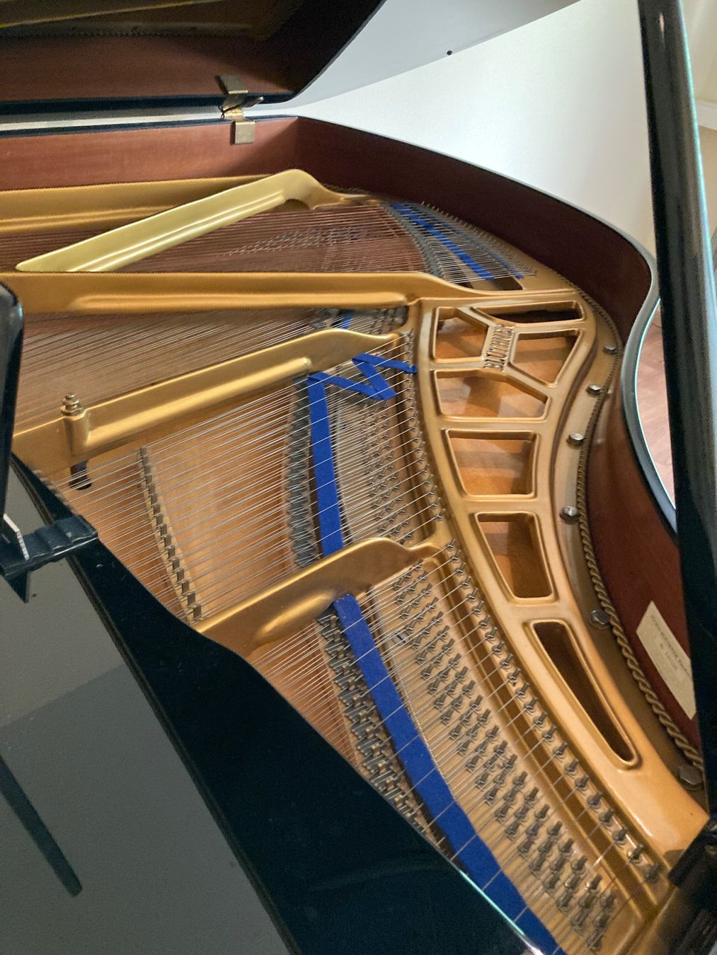 Blüthner Musikinstrumente: Flügel Blüthner – Gebraucht aus Basel von ben_kdz8 2