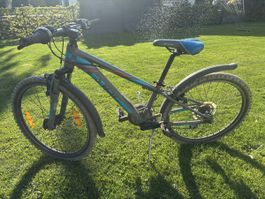 Cube Kindermountainbike 24 Zoll
