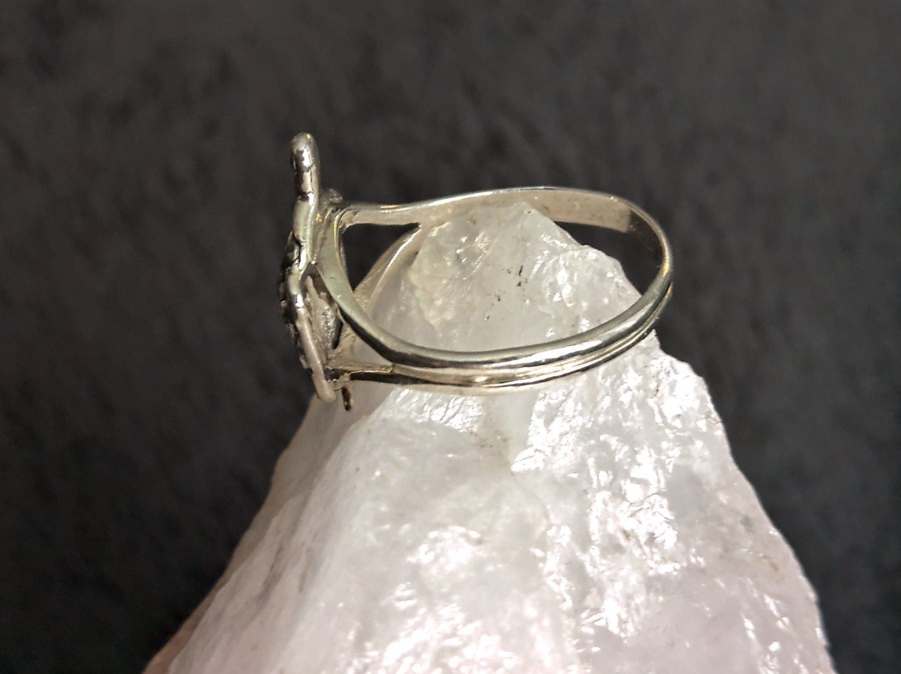 Anelli: Ring Silber 925 Schildkröte – Usato da Istighofen venduto da Ringparadies 2