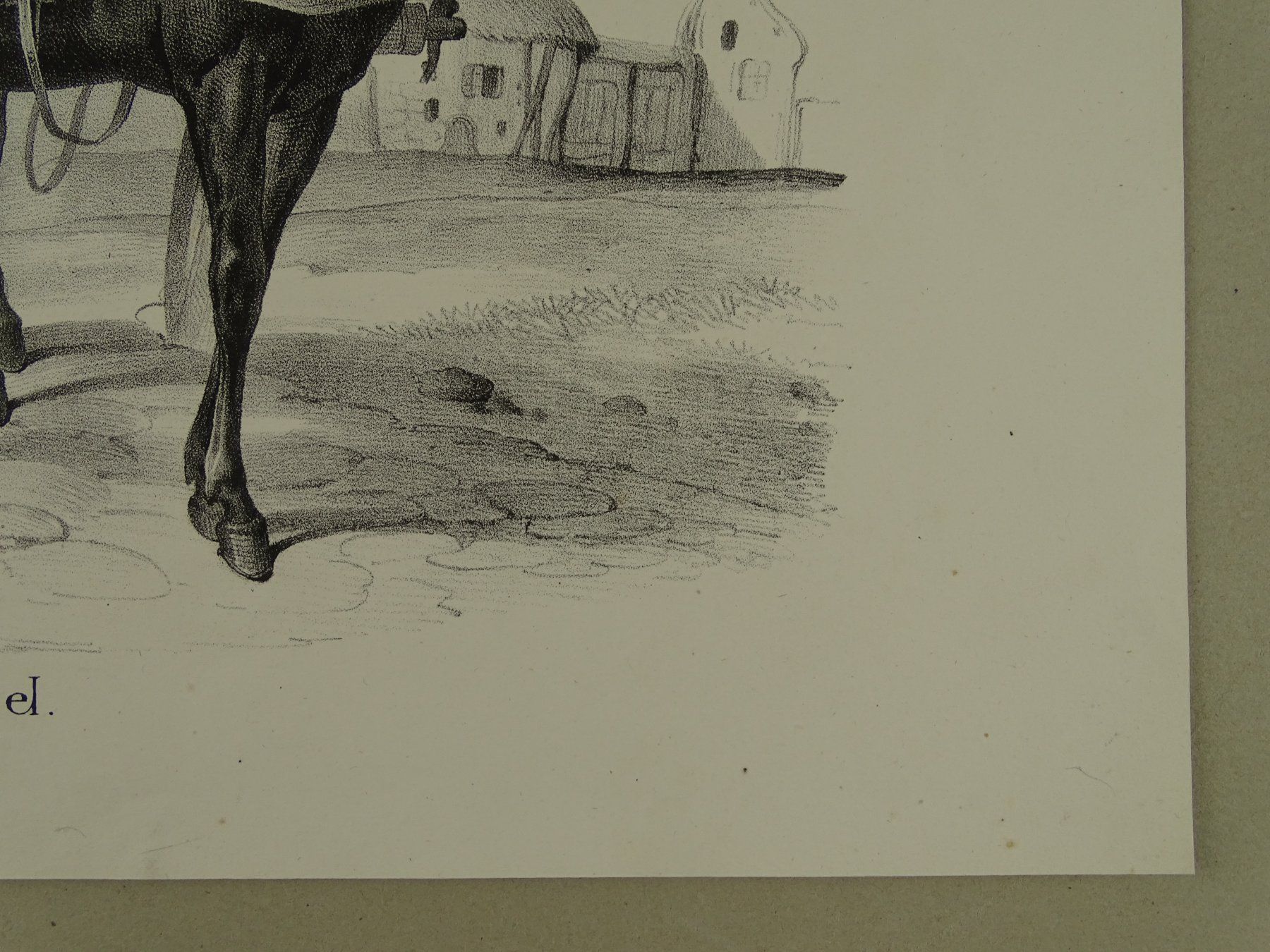 Gravures: MAULESEL, MAULTIER, LITHOGRAPHIE UM 1840 – D'occasion à Grüningen par Kartensammler 5