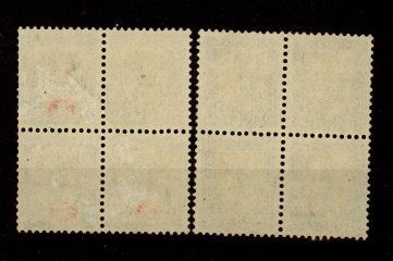 Tutti i francobolli: 1918, Pro Juventute, Viererblöcke ** – Usato da Willisau venduto da Vollstempel 1