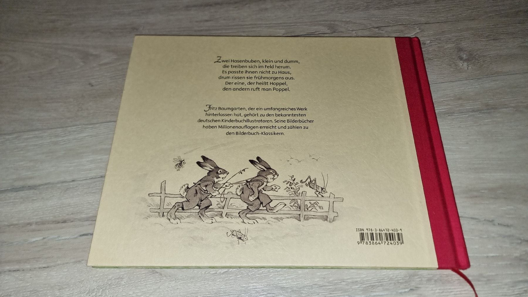 Libri: Hoppel und Poppel - Kinderbuchklassiker neuwertig – Nuovo (secondo la descrizione) da Wigoltingen venduto da Zuckerfee84 1