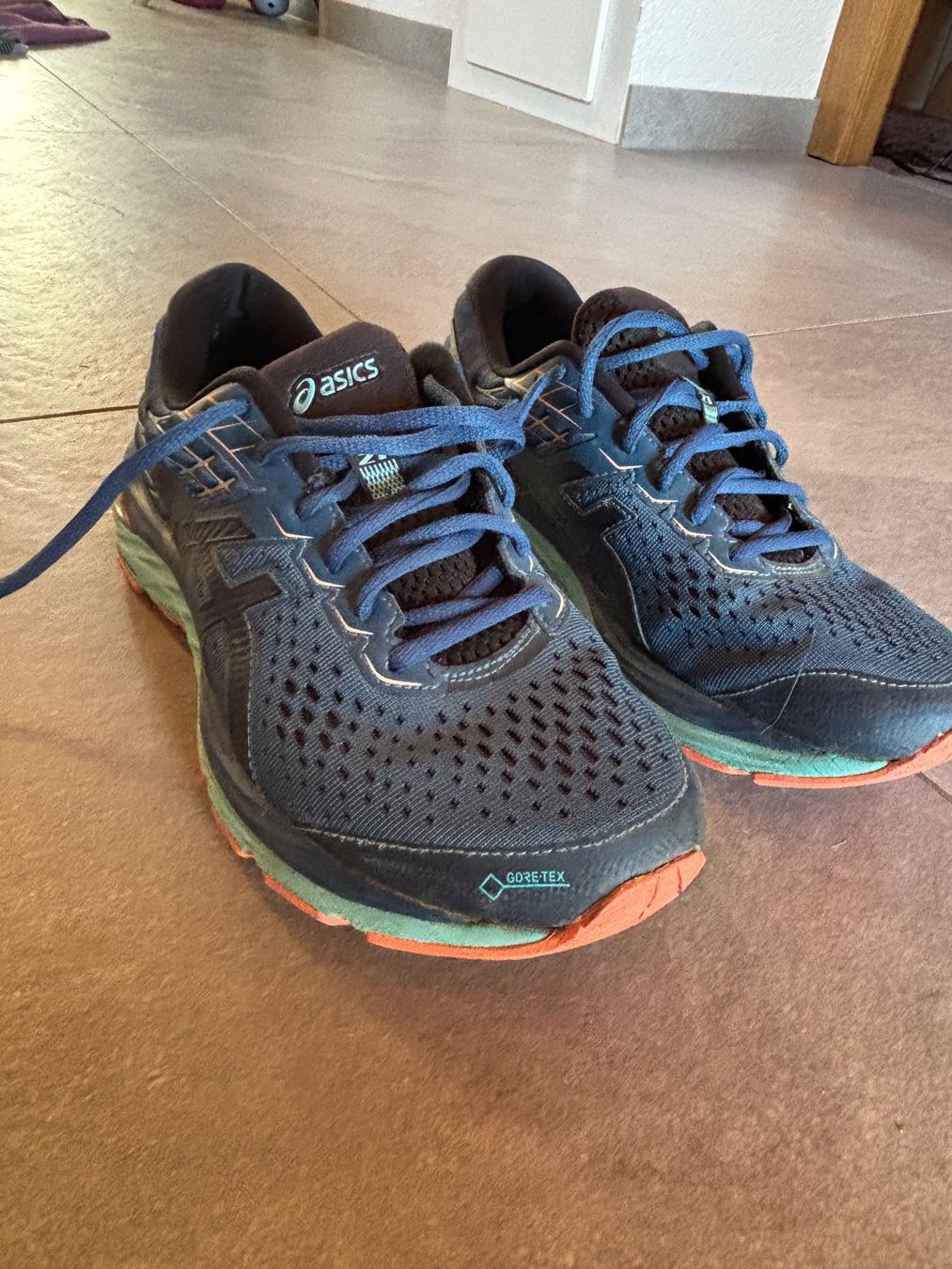 Asics Chaussures hommes: Basket ASICS Gel Cumulus – Neuf (Voir description) à Basse-Nendaz par Oliviavia 1