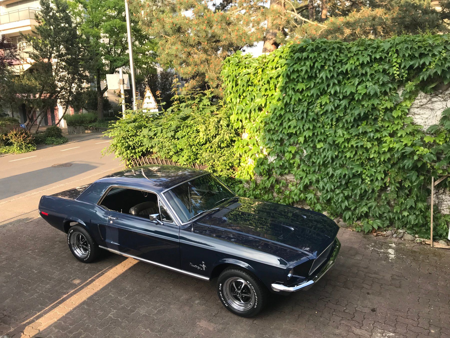 Ford (Usa) Automobili: Ford Mustang 1968, Veteran – Usato da Allschwil venduto da lukisina01 4