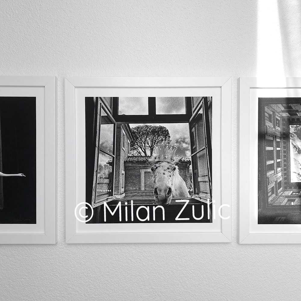 Foto & Immagini: Travel postcards 007 – Nuovo (secondo la descrizione) da Uetikon am See venduto da mil_7k2b 5