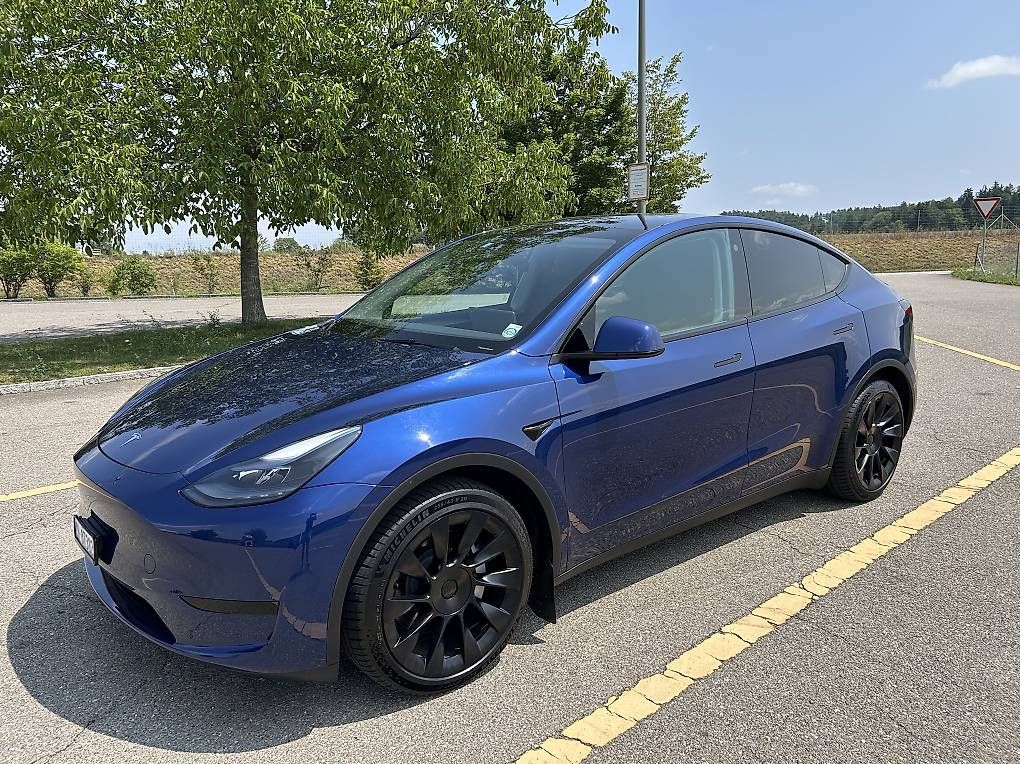 Tesla Automobili: Tesla Model Y, LFP – Usato da Thalheim venduto da St.Meister