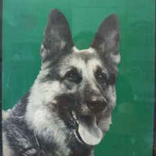 Profile image of lewe5