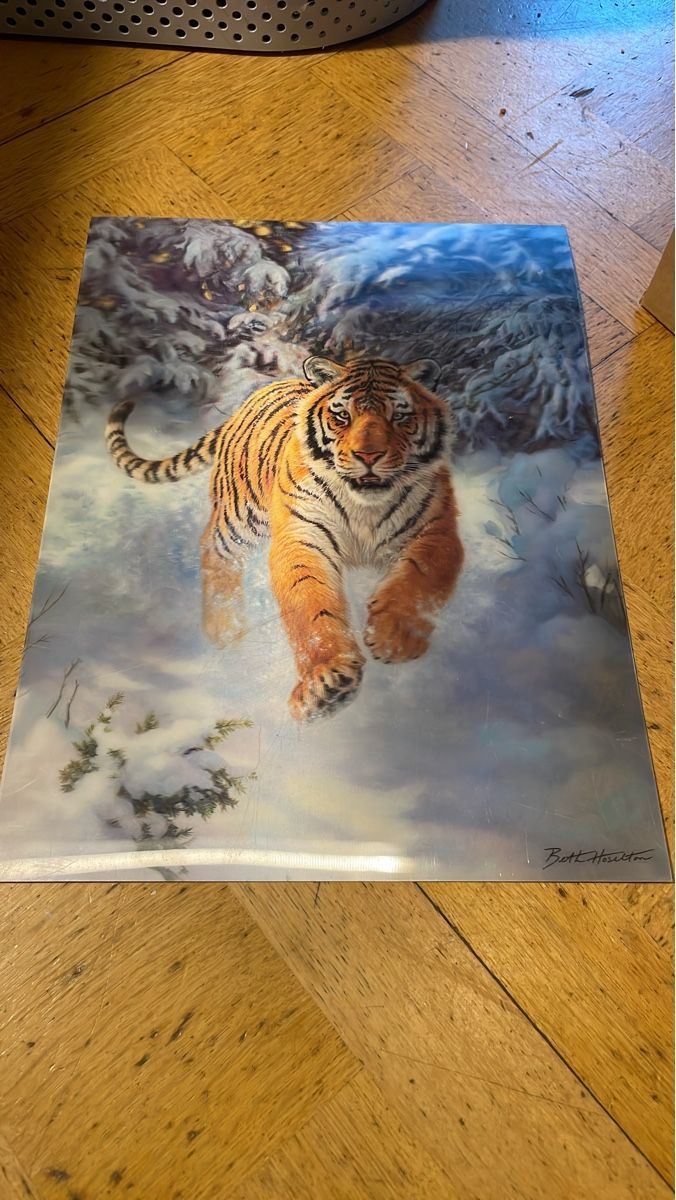 Foto & Immagini: Wunderschönes Tigerbild von, Winterimpression – Usato da Küsnacht ZH venduto da BricksNfigs