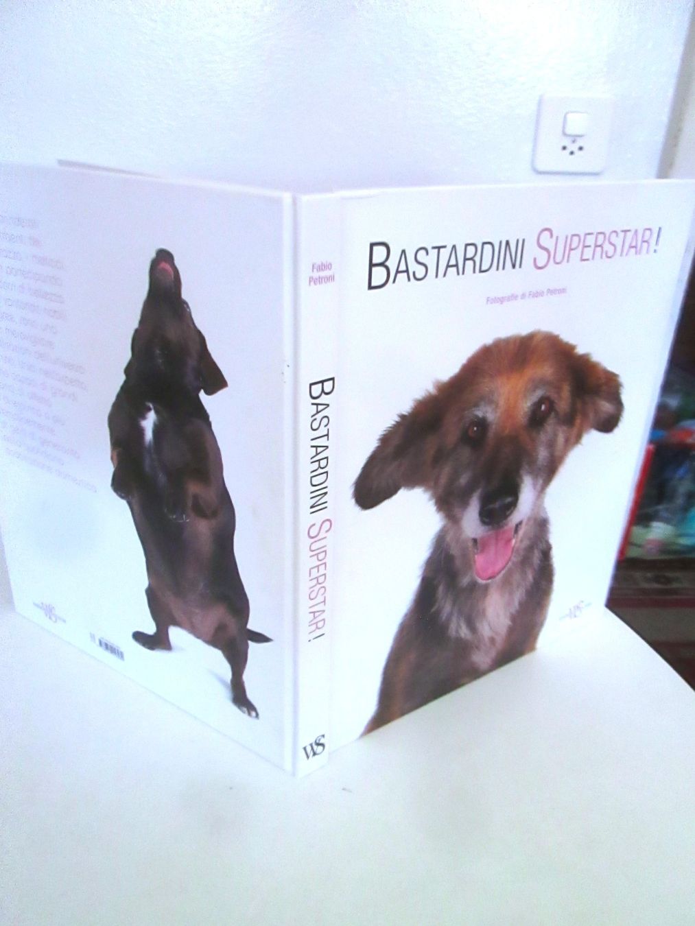 Livres: Bastardini Superstar by Fabio Petroni – D'occasion à Sementina par babucia