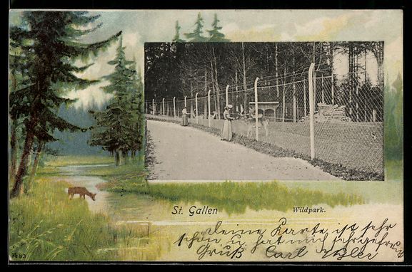 Cartes postales: Passepartout-AK St. Gallen, Wildpark – D'occasion à Berlin par bartko-reher