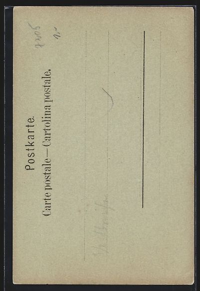 Cartoline postali: Mondschein-AK Meiringen, Teilansicht mit – Usato da Berlin venduto da bartko-reher 1