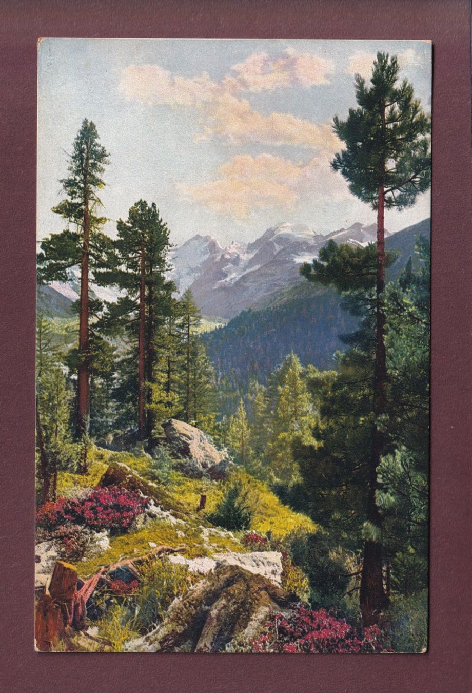 Cartoline postali: Partie an der BERNINABAHN – Usato da Pully venduto da nicecards