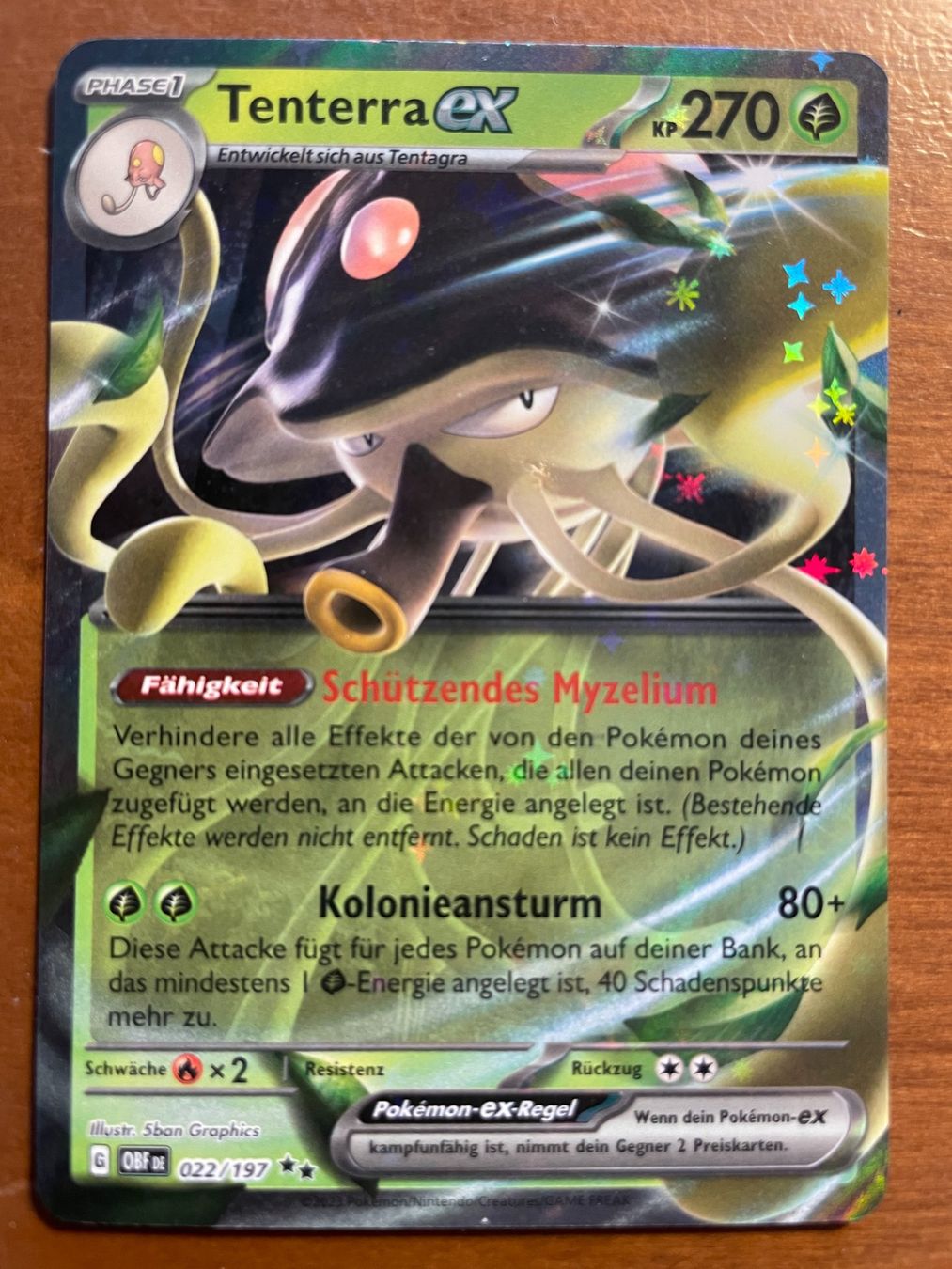 Pokémon Carte collezionabili: Pokemon Tenterra eX (Versand gratis) – Nuovo (secondo la descrizione) da Chur venduto da Angerson