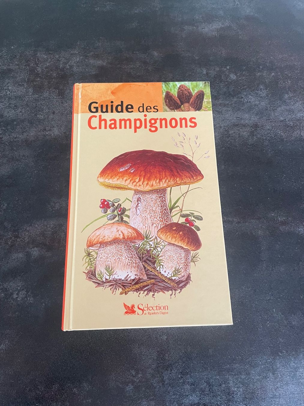 Libri: Livre Guide des Champignons – Usato da Vallamand venduto da Bricbracbroc82