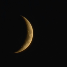 Profile image of fra_668s