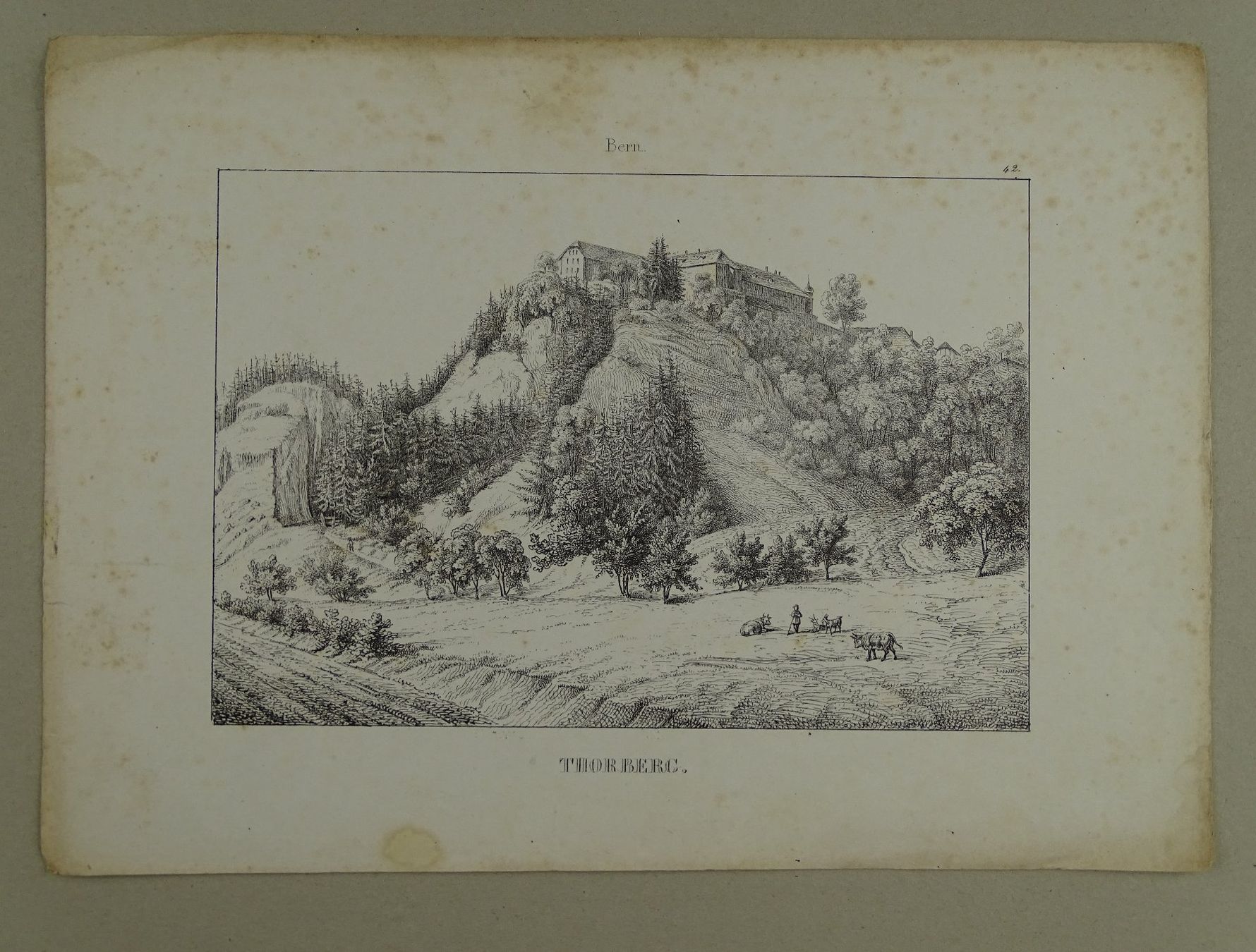 Stiche: THORBERG, BERN, FEDERLITHOGRAPHIE 1840 – Gebraucht aus Grüningen von Kartensammler