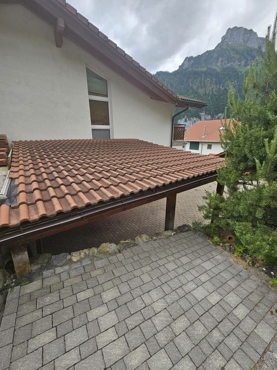 Dachziegel Frankfurter Pfanne Kaufen