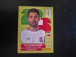 Panini WM 26 IRN 6
