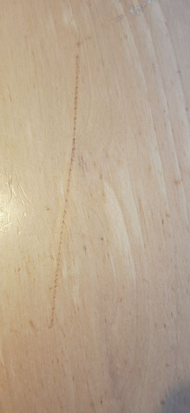 Tische: Esstisch – Gebraucht aus Thörigen von SILY20 5
