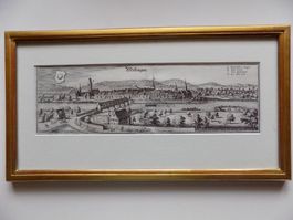 Mellingen Merian Goldrahmen