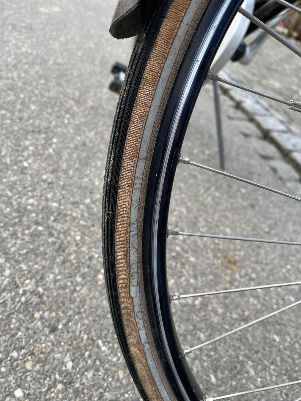 Biciclette: Damenvelo "Eiger" – Usato da Oberuzwil venduto da Kuchli 5