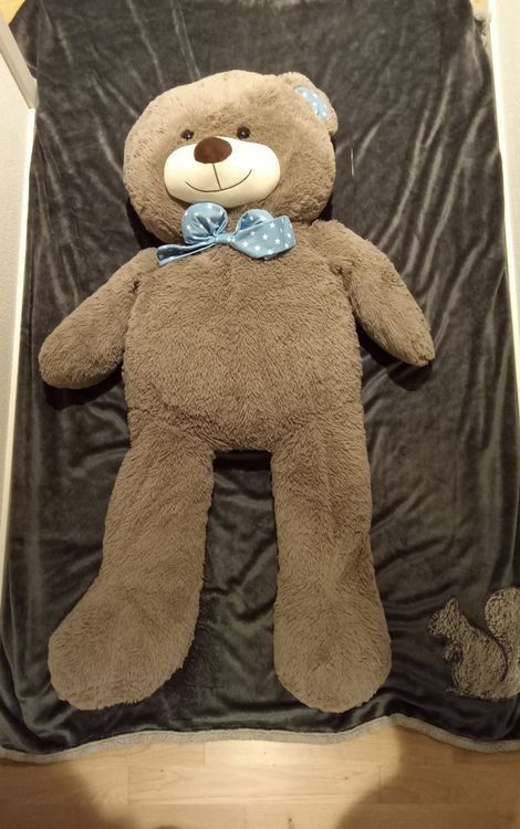 Giocattoli: XXL Teddybär – Usato da Mollis venduto da gar_wqz5