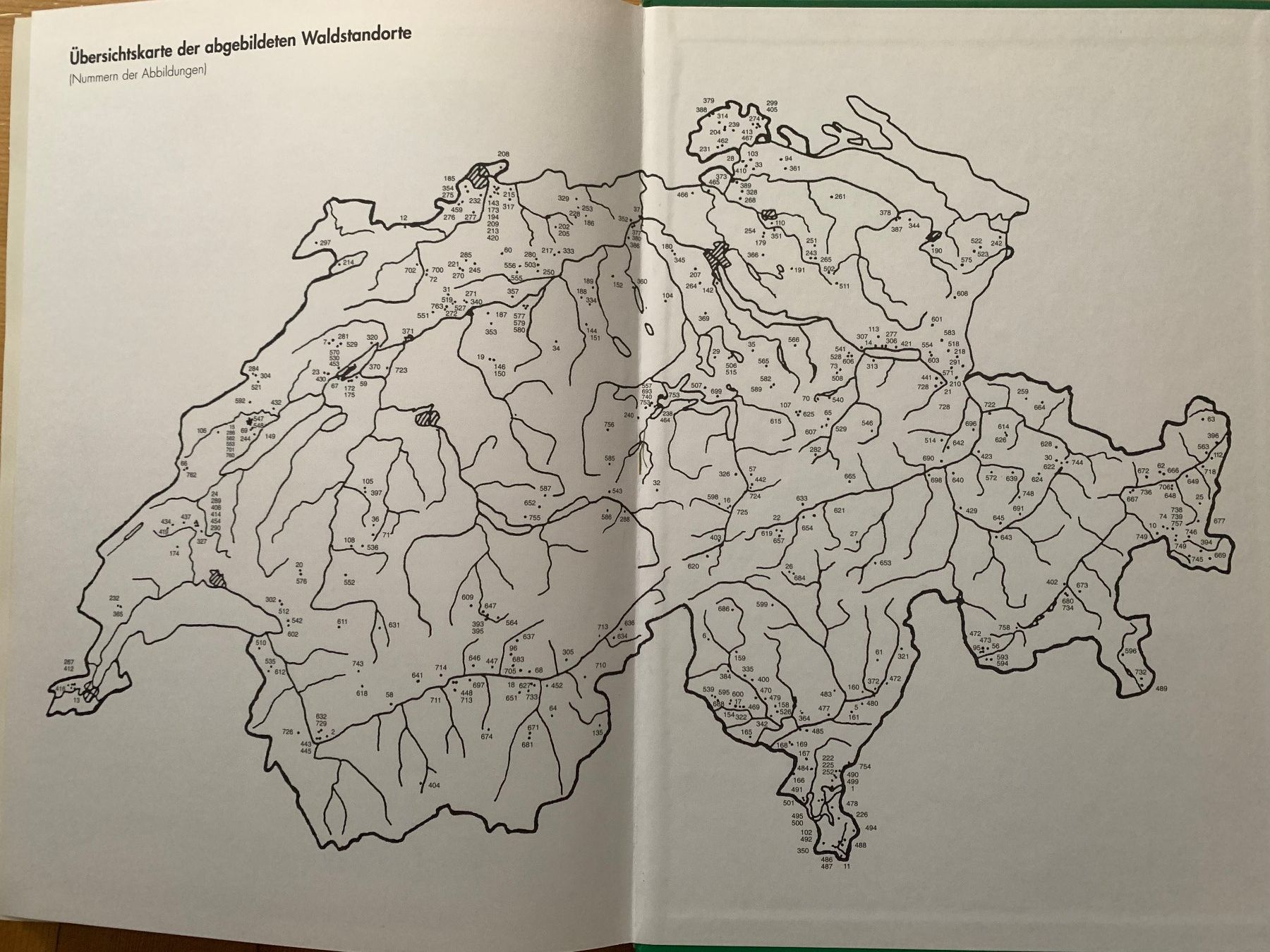 Libri: Wälder der Schweiz – Usato da Thalwil venduto da Ardez123 5