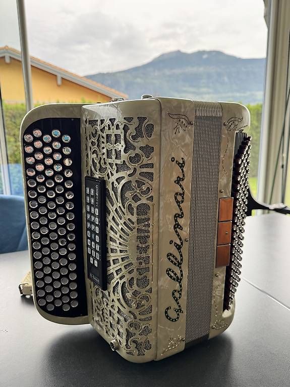 Musikinstrumente: Accordéon Gallinari système midi Musictech Q-select – Gebraucht aus Vétroz von wouwou