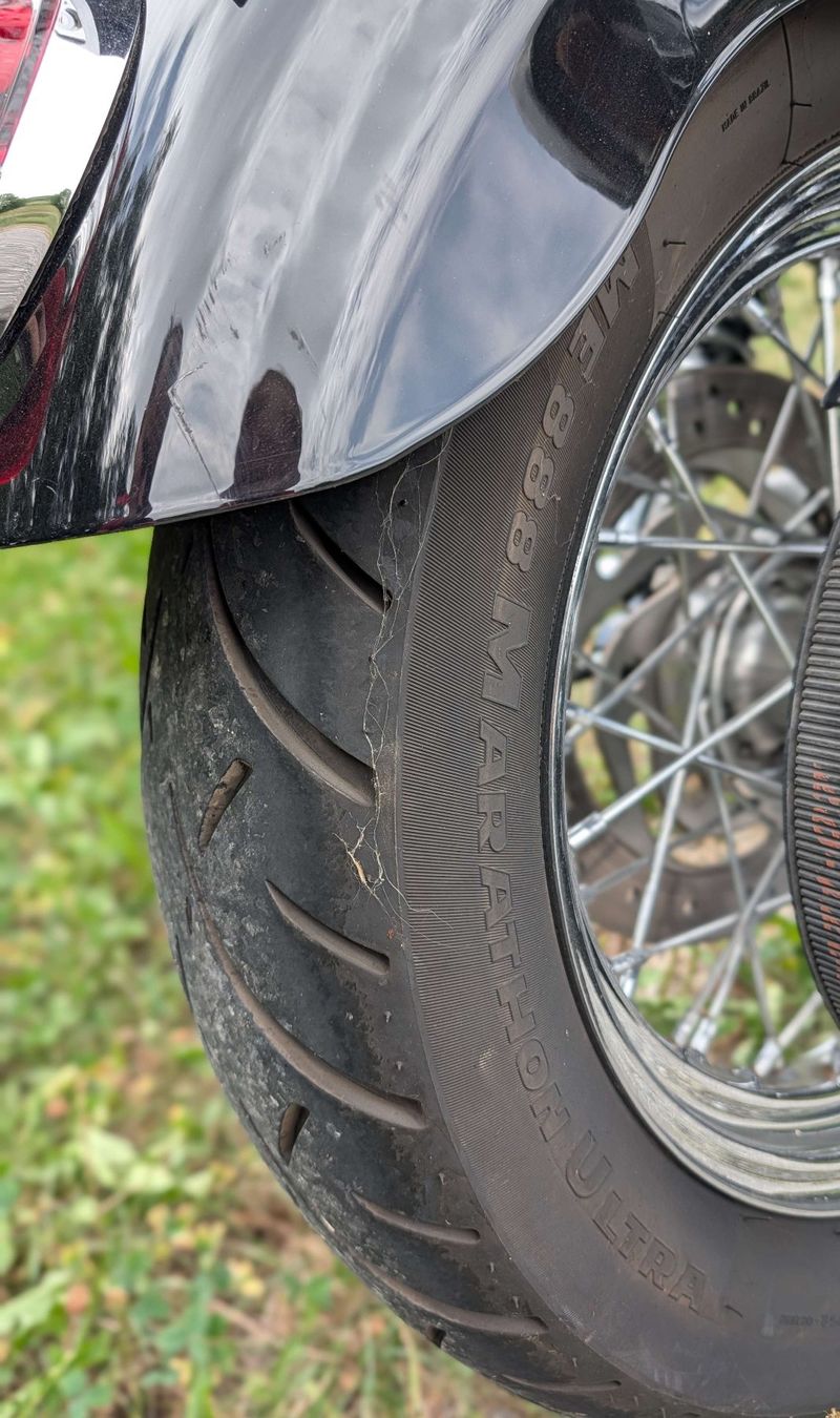 Harley-Davidson Chopper: Harley Davidson XL883 L, 2006 – Usato da Bonstetten venduto da mh2_d8k5 8