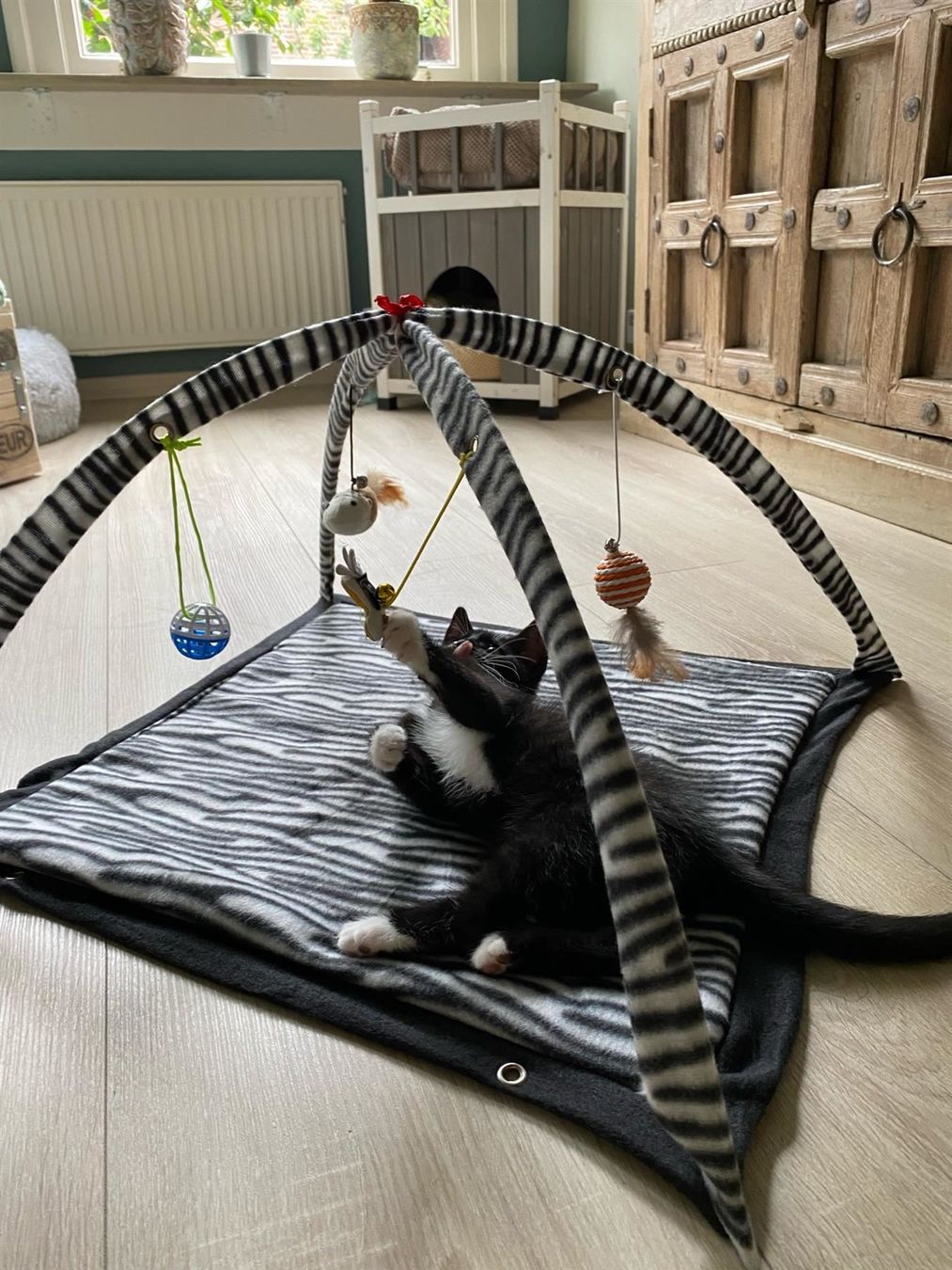 Tappeto da gioco: 📌 NEU Katzen Spielmatte – Nuovo e nell'imballaggio originale da Wittenbach venduto da ChinaSeidenstrasse 3