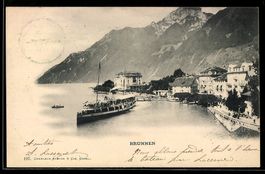 Brunnen, Dampfschiff am Seeufer mit Ufer