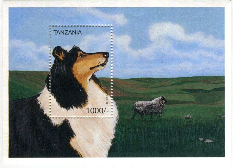 Tous les timbres: Block "Border Collie". Tansania – Neuf avec emballage d'origine à Basel par Butsch5