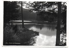 FLIMS Motiv am Caumasee