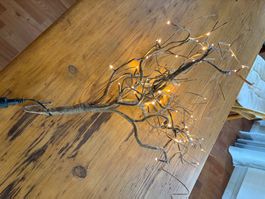 LED-Dekoast von Möbel Pfister