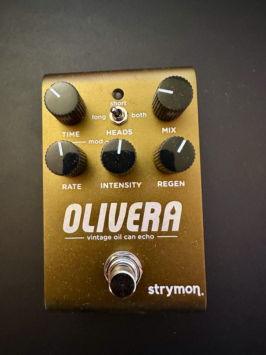 Strymon Instruments de musique: Strymon Olivera Oil Can Echo – D'occasion à Zürich par Skinwalker