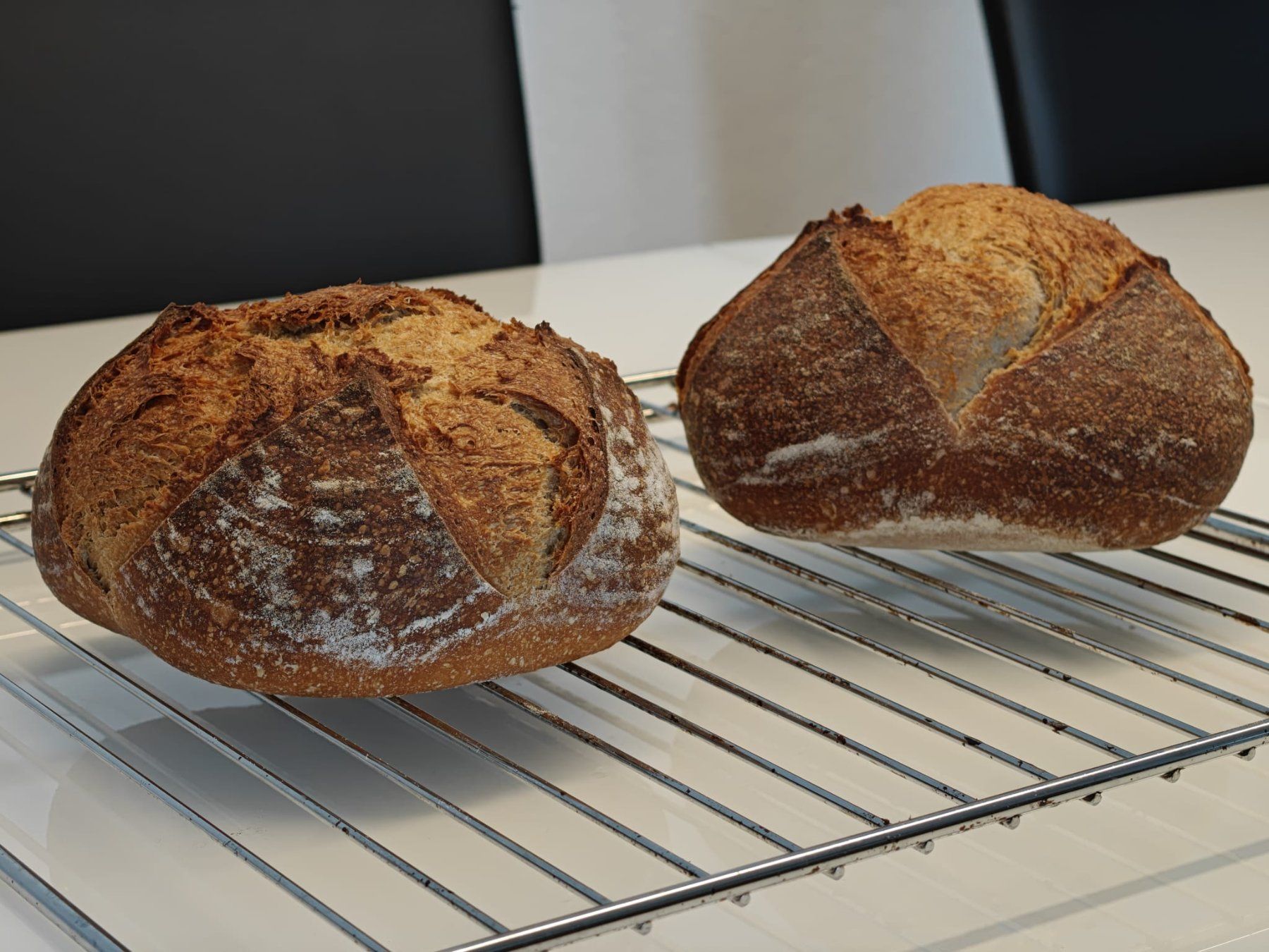 Cibi & Specialità: Bio-Sauerteig (Mutterteig, ca. 50g) aktiv & triebstark – Usato da Liestal venduto da GameNTech 2