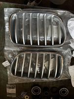 BMW X3 F25 Nieren