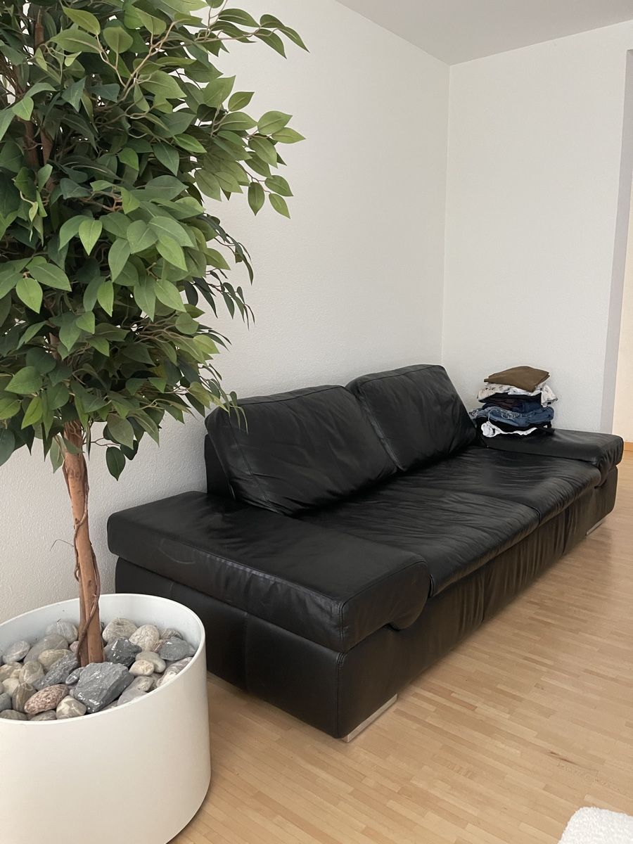 Musterring Sofas: Echtledersofa schwarz mit Metallfüssen – Gebraucht aus St. Gallen von absky 3