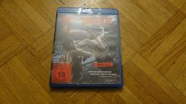 Way of the Warrior BLU-RAY